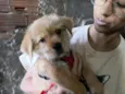 Julie