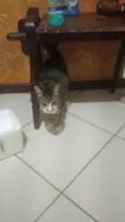Bolinha