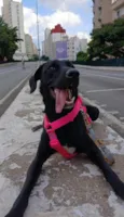 Kiara