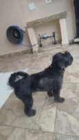 desconhecido