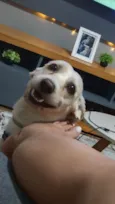 Marshall