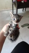Oliver