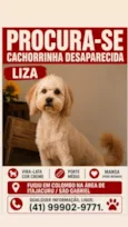 Liza
