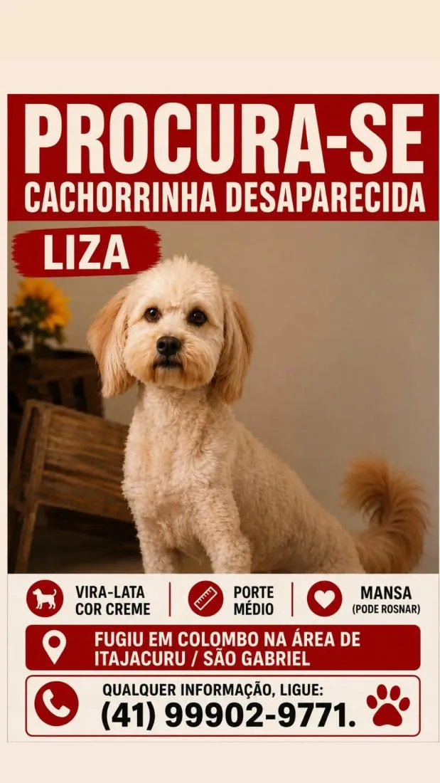 Cachorro raça SRD-ViraLata idade 6 ou mais anos nome Liza