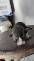 .... 
