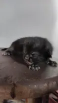 .... 