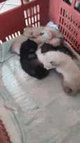 .... 
