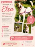 Elsa