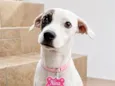 Nina