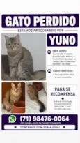 Yuno