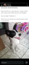 Luke