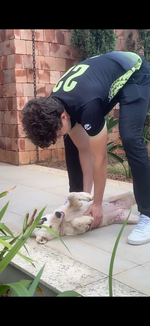 Cachorro raça SRD-ViraLata idade 2 a 6 meses nome pipoca 