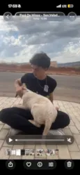 pipoca 
