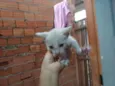 não tem ainda