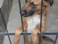 Nina