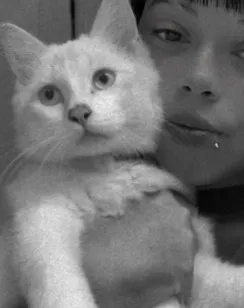 Gato raça Angorá idade 7 a 11 meses nome cotoco