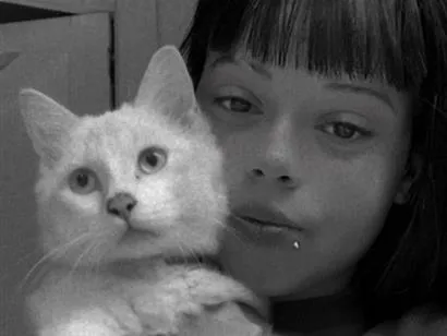 Gato raça Angorá idade 7 a 11 meses nome cotoco