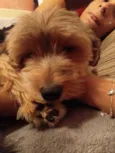 Léo