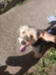 Léo