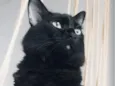 Boris