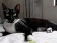 Gamora