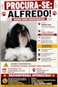 Alfredo