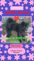 Pretinha