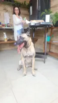 Dudu