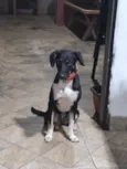 Mel