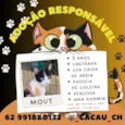 Mout