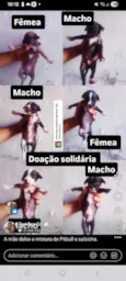 sem nome