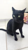 Théo 