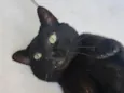 Théo 