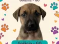 Sem nome