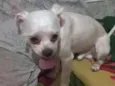 charlie