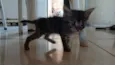 Billie Jean