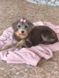 Mônica