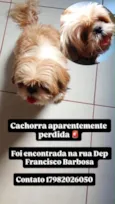 nao sei 
