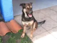 Belga