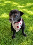 Matilda