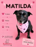 Matilda