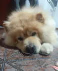 Marley 