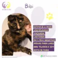 Bibi