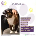 Valentim