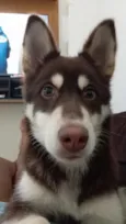 Kenai