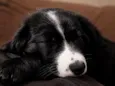 Kenai