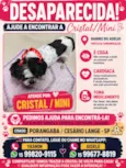 Cristal/Mini