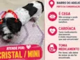 Cristal/Mini