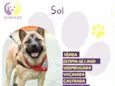 Sol