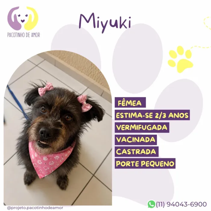 Cachorro raça SRD-ViraLata idade 2 anos nome Miyuki